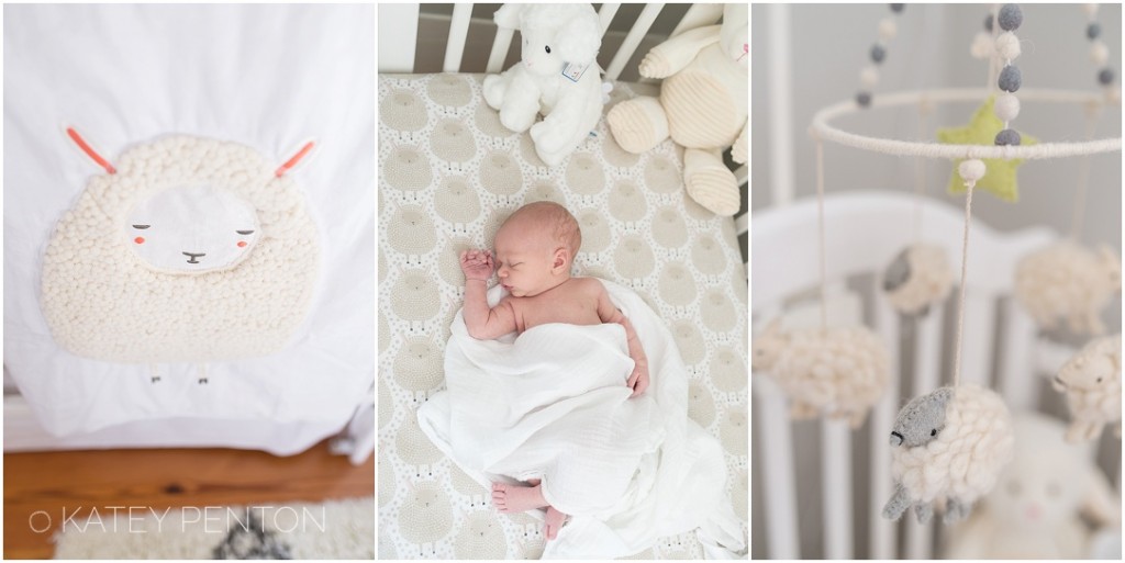 Rutledge Social Circle Madison GA Newborn Athens Photographer Covington_1638