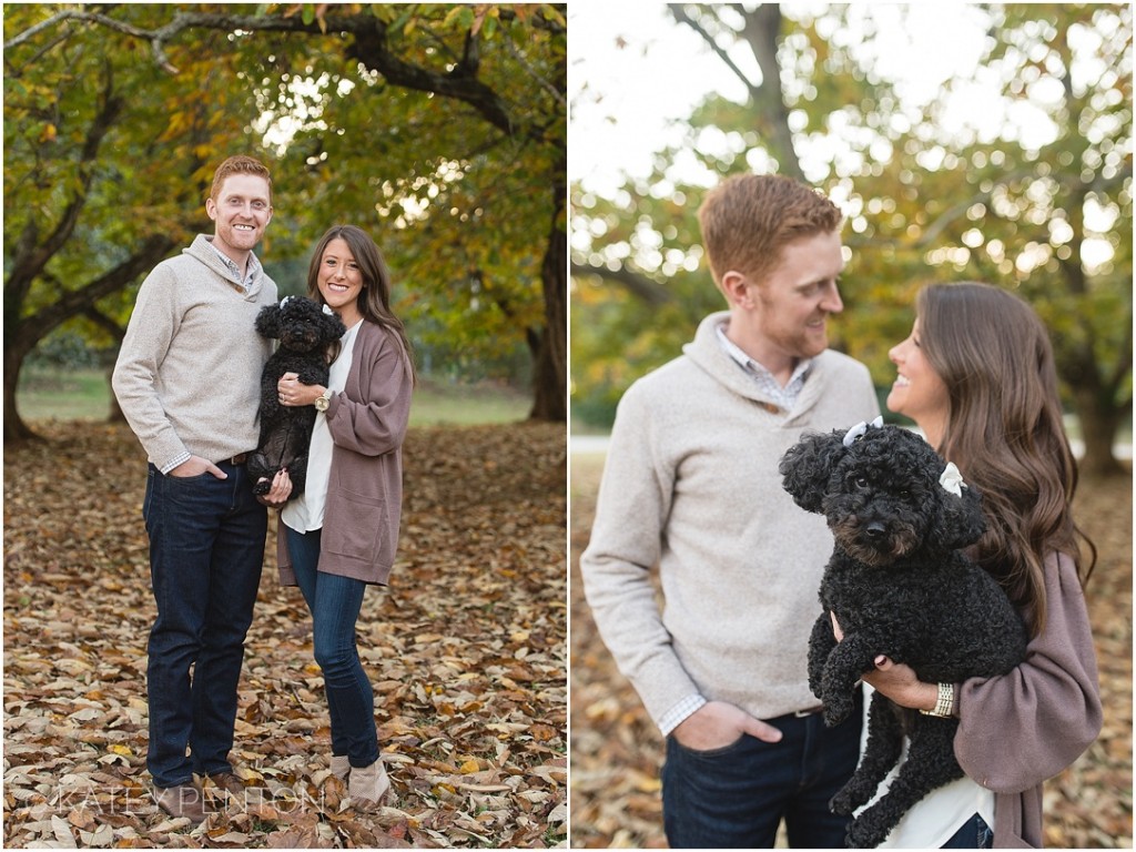 couple one year anniversary, poodle, black poodle, couple, fall portraits