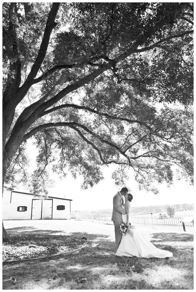 Nash Farms Wedding Atlanta Ga Photographer Katey Nash Farms Wedding Photographer
